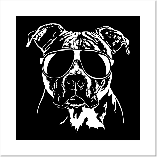 Funny American Pitbull Terrier with sunglasses Wall Art by wilsigns